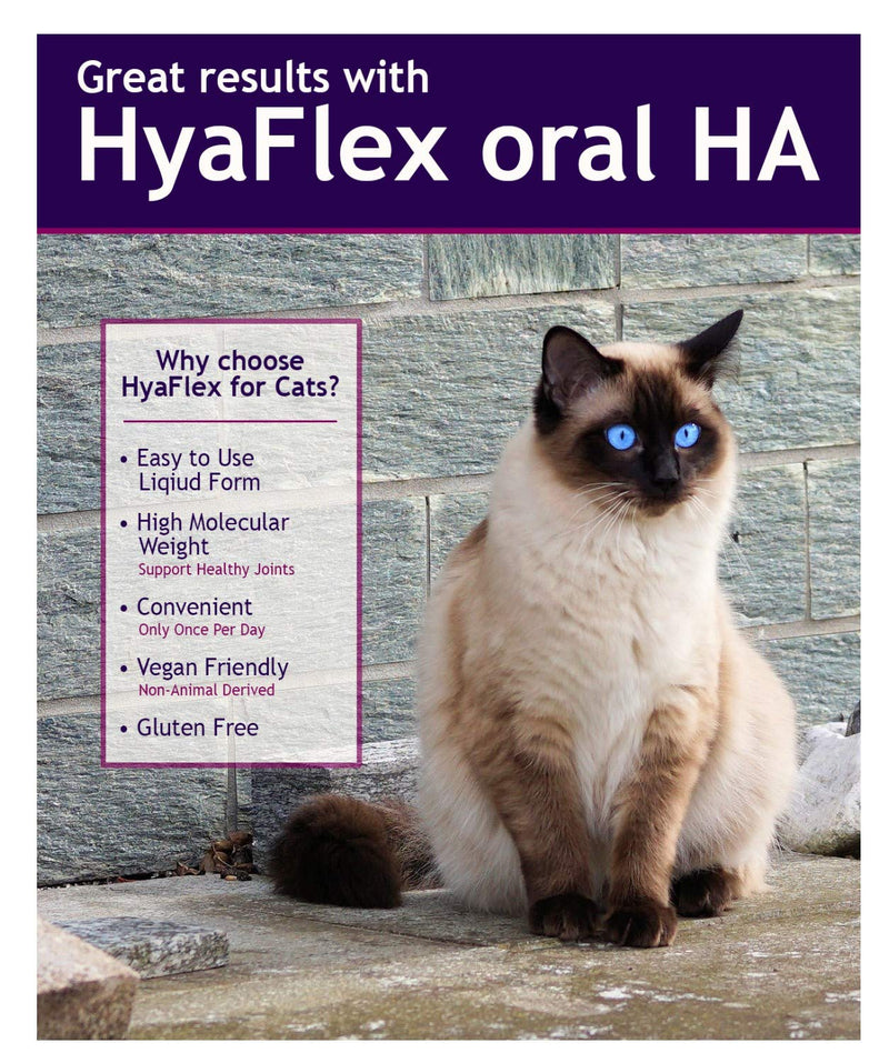 Cat Joint Supplement, Hyalogic Hyaluronic Acid Cat Supplements– 30-60 Day Supply, 1oz HA, Cartilage Supplement, Hip & Joint Supplement - Cat Health Supplies, W/ No Fuss Liquid Dropper - BeesActive Australia