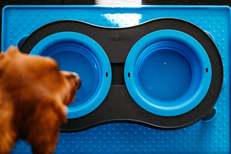 Dexas Popware for Pets Double Elevated Pet Feeder Large/2.5 Cup Capacity Bowls Pro Blue - BeesActive Australia