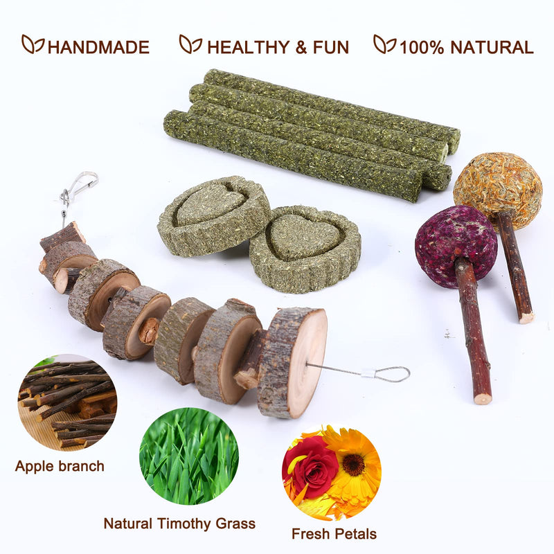 VESPRO Rabbit Toys Bunny Toys for Rabbits Hamster Toys Guinea Pig Toys Natural Timothy Hay Chew Treats and Balls for Rabbit, Bunny, Chinchilla, Guinea Pig, Hamster, Bunny Teeth Care Variety Flavor Set-1 - BeesActive Australia