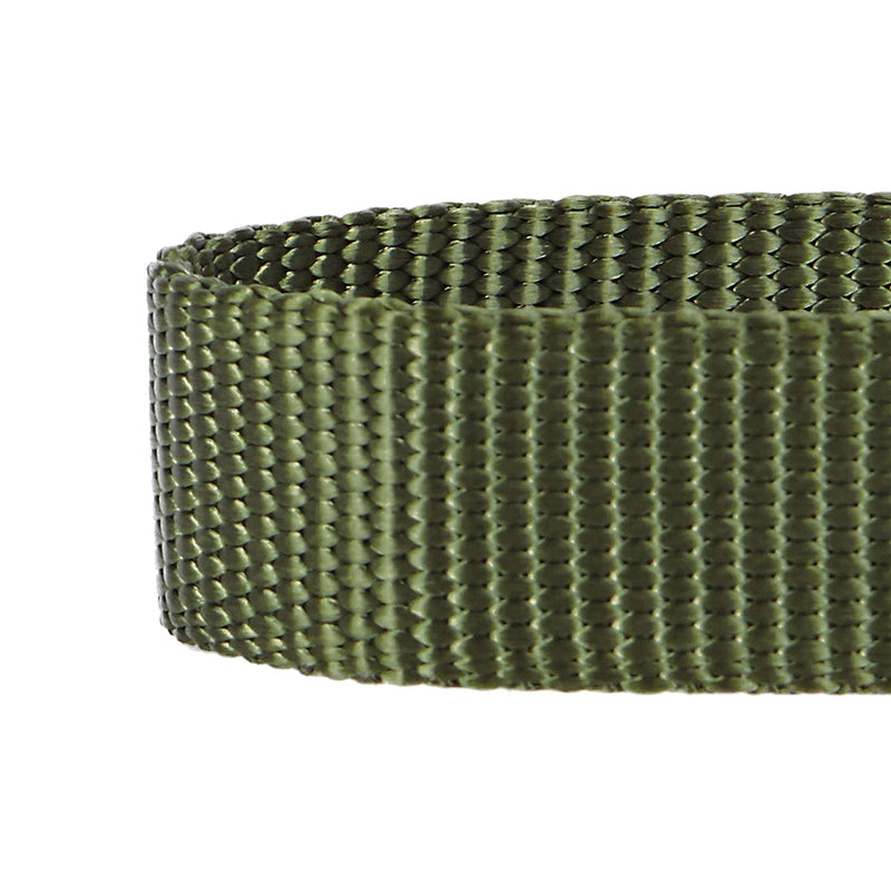 Blueberry Pet Essentials 20+ Colors Classic Dog Collars Small (Pack of 1) Military Green - BeesActive Australia