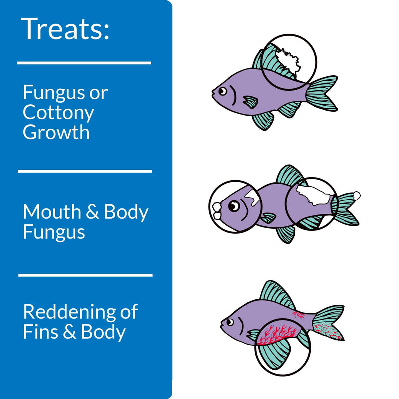 API PIMAFIX Fish remedy, Contains all-natural extract from West Indian Bay Trees to rapidly and safely treats fungal infections on fish body and fins, Use daily for a week when treating infections 4-Ounce - BeesActive Australia