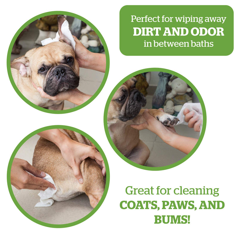 Pogi's 300 Unscented Dog Poop Bags w/ Handles and 100 Plant-based Grooming Wipes Bundle - BeesActive Australia