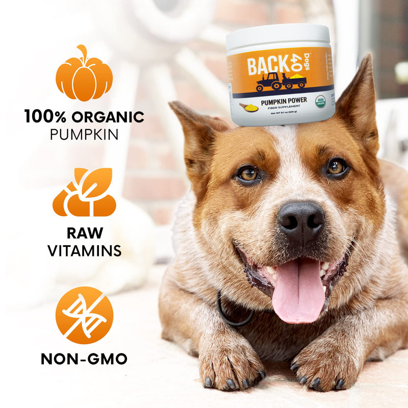 Back 40 Dogs - Natural Powdered Pumpkin for Dogs, Dog Multivitamin, Dog Vitamins for Digestive Health, Fiber Support with Vitamins A, C & E, 8.1 Oz - BeesActive Australia