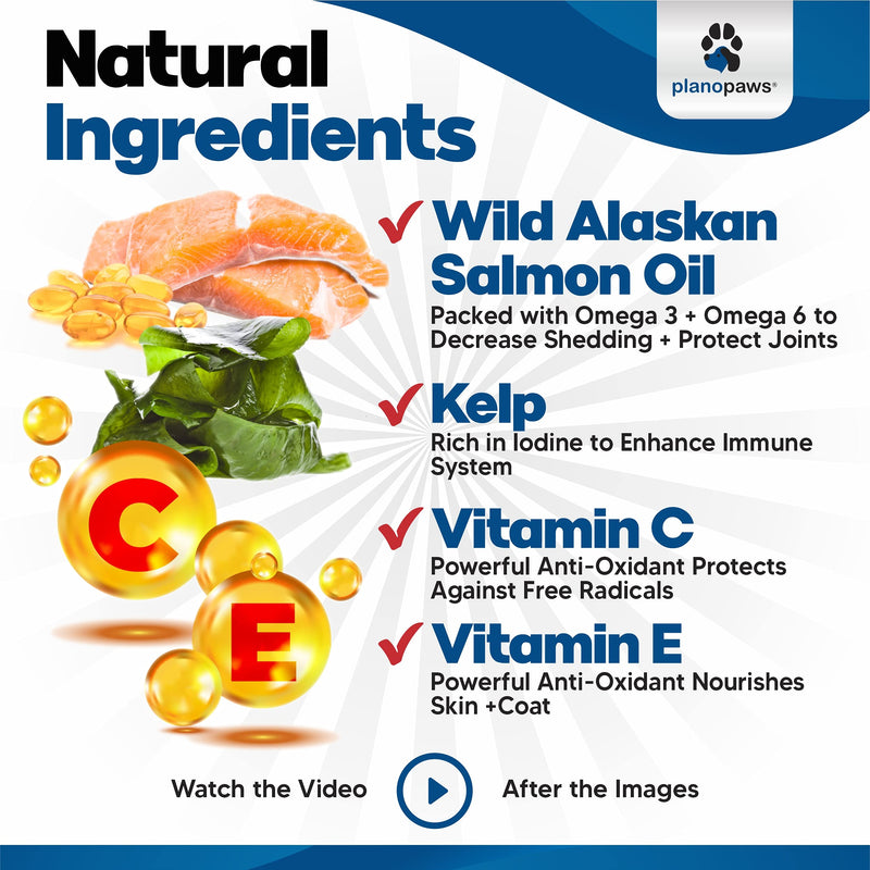 Wild Alaskan Salmon Oil for Dogs - Dog Skin and Coat Supplement - Shedding & Itch Relief for Dogs - Omega 3 Fish Oil for Dogs Chews - 120 Dog Allergy Chews - Dog Shedding Supplement - Dog Vitamins - BeesActive Australia
