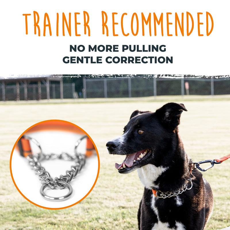 Mighty Paw Martingale Dog Collar 2.0 | Trainer Approved Limited Slip Collar with Stainless Steel Chain & Heavy Duty Buckle. Modified Cinch Collar for Gentle & Effective Pet Training Medium Orange - BeesActive Australia