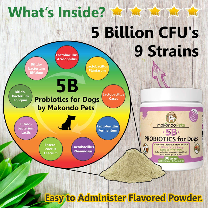 Probiotics for Dogs & Puppies–Extra Strength 9 Species, 5 Billion CFU per Scoop of Dog Probiotics and Digestive Enzymes for Dogs. Support Fiber for Dogs & Dog Allergy Relief– Powder Probiotic for Dogs 3.17 Ounces - BeesActive Australia