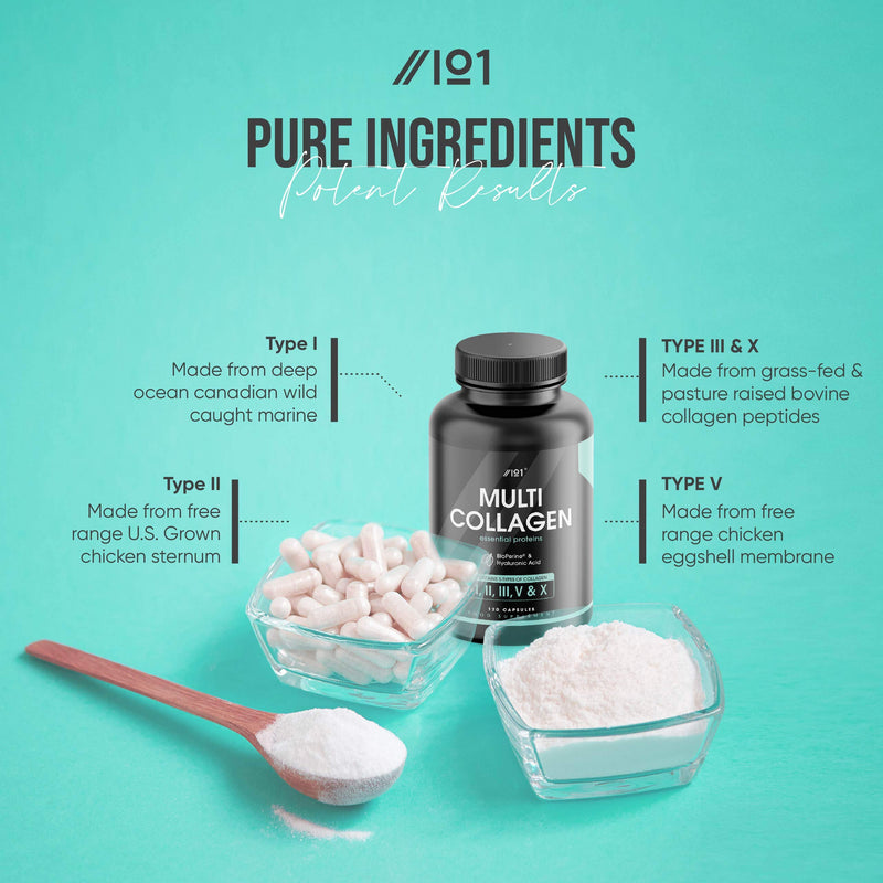 Multi Collagen Capsules - Types I, II, III, V & X - Wild Caught Marine, Grass Fed Bovine, Eggshell & Free-Range Chicken Collagen Powder, with Hyaluronic Acid & Vitamin C, 120 Caps 120 Count (Pack of 1) - BeesActive Australia