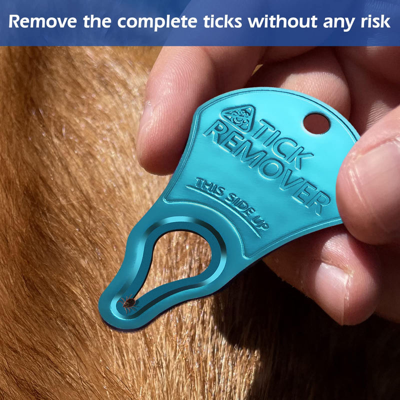 3 Pack Tick Remover Tool for Pets and Humans, Portable Tick Removal, Safe and Fast, Essential and Emergency Tool for Outdoor Activities, Effective and Painless - BeesActive Australia