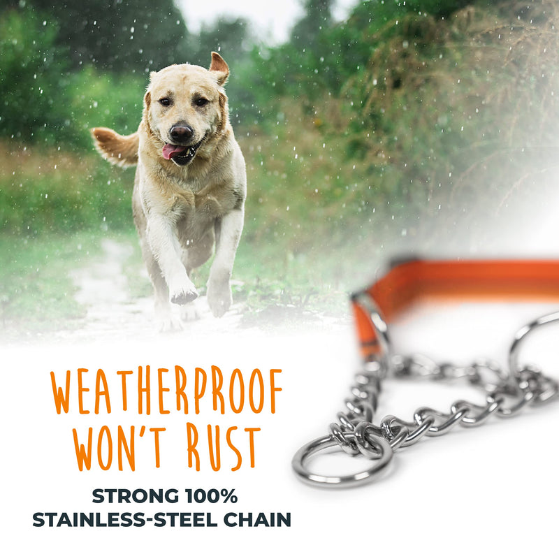 Mighty Paw Martingale Dog Collar 2.0 | Trainer Approved Limited Slip Collar with Stainless Steel Chain & Heavy Duty Buckle. Modified Cinch Collar for Gentle & Effective Pet Training Medium Orange - BeesActive Australia