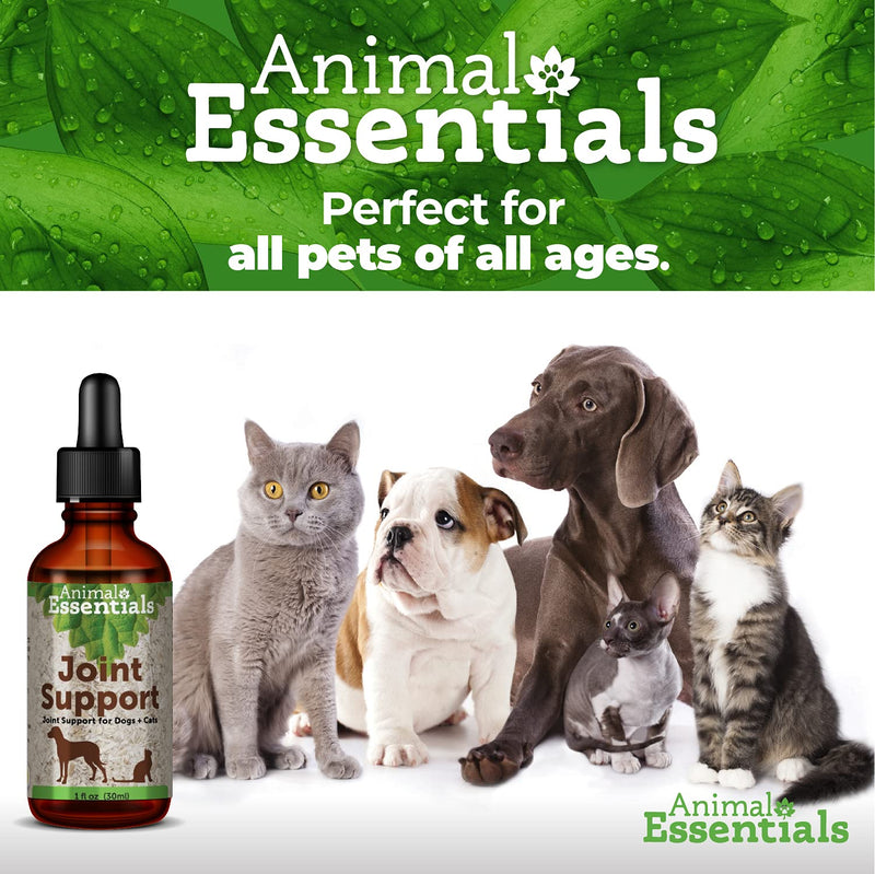 Animal Essentials Joint Support Supplement for Dogs and Cats, 2oz - Made in USA Alcohol-Free, Pain and Swelling Relief - BeesActive Australia