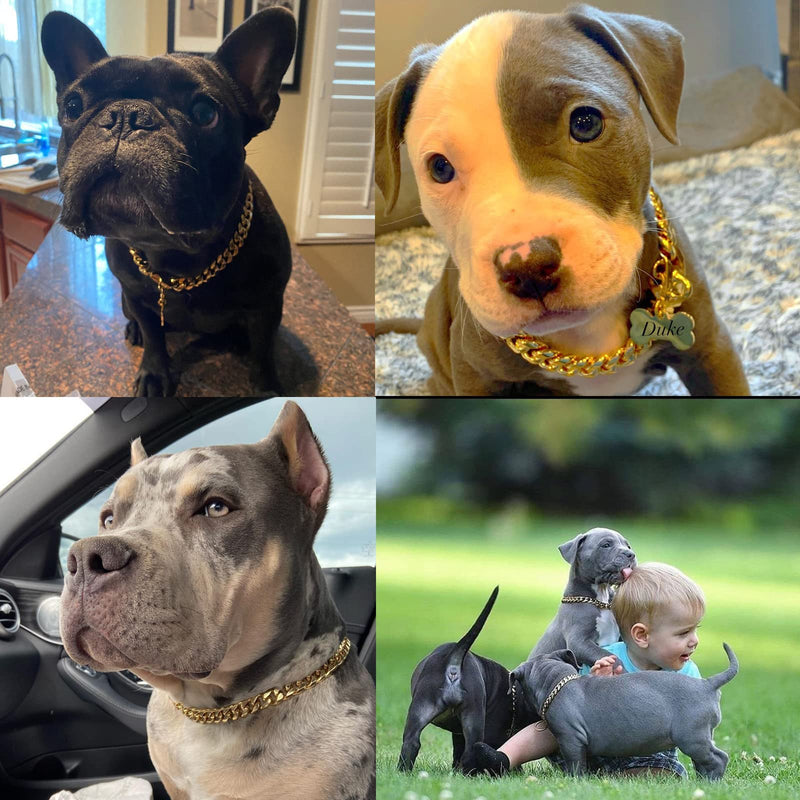 Strong Stainless Steel Gold Dog Collars with Safety Buckle Lock,14MM Cuban Link Chain Training Collar,Dog Necklace Walking Collar for Small Medium & Large Dogs 18 Inch - BeesActive Australia