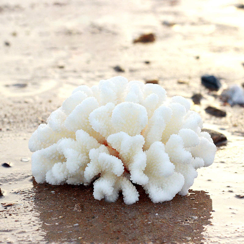 Pack of 2 Artificial Coral Ornament, Aquarium Resin Coral Decor Underwater Sea Plants Fish Tank Decoration Aquarium Plants White - BeesActive Australia