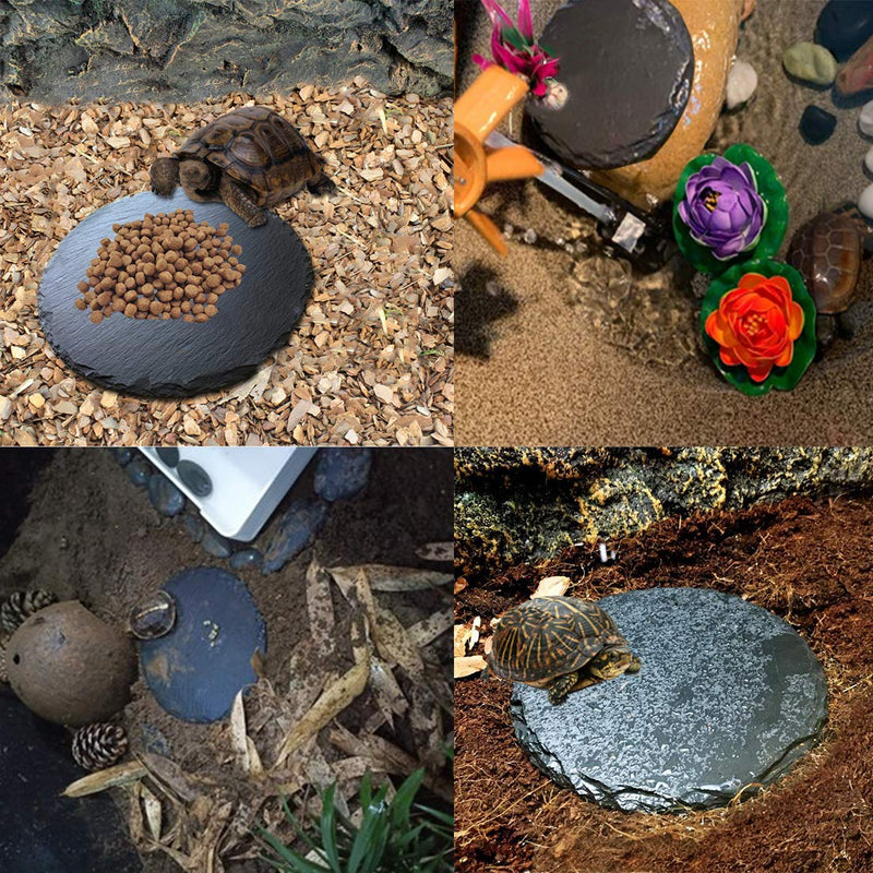 Tfwadmx Reptile Basking Platform,Tortoise Rock Slate Plate Feeding Platform Food Bowl Dish Turtle Bathing Rock Resting Terrace for Lizard Bearded Dragon Chameleon Gecko Snake Frog Newt - BeesActive Australia