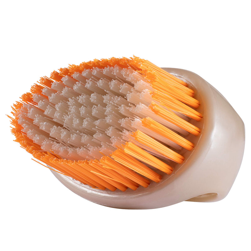 Stanley Home Products Super Scrubby Scrub Brush - All Purpose Cleaning Scrubber w/ Looped Handle For Scrubbing Vegetables, Laundry, Shoes, Car & Tub - Deep Multi Surface Cleaning For Home & Business 1 - BeesActive Australia