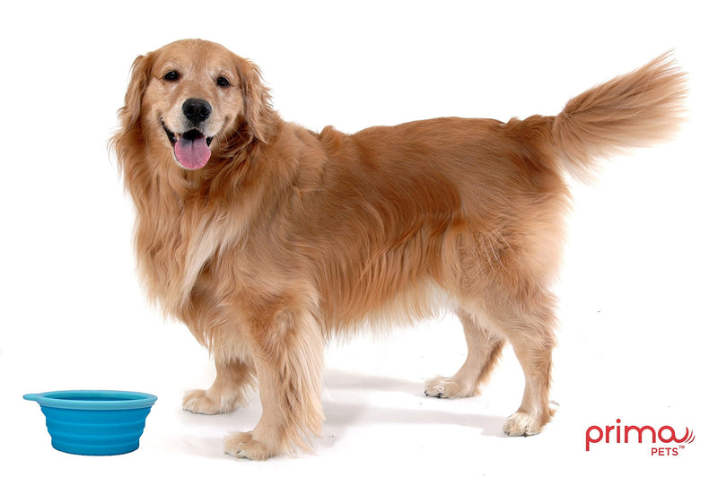 Prima Pet Expandable / Collapsible Silicone Food & Water Travel Bowl with Clip for Medium & Large Dog, Portable and Durable Pop-up Feeder for Convenient On-the-go Feeding, Size: 5 Cups (7 Inch Diameter Bowl) (LARGE (5 CUPS), AQUA) LARGE (5 CUPS) - BeesActive Australia