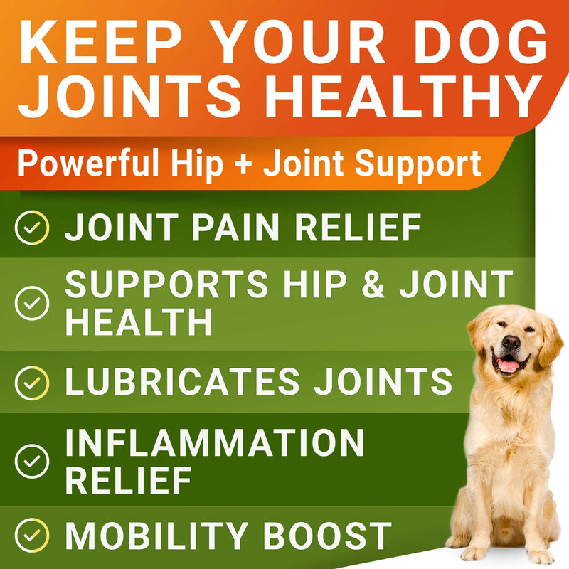 Glucosamine Treats for Dogs - Joint Supplement w/ Omega-3 Fish Oil - Chondroitin, MSM - Advanced Mobility Chews - Joint Pain Relief - Hip & Joint Care - Chicken Flavor - 180 Ct - Made in USA - BeesActive Australia