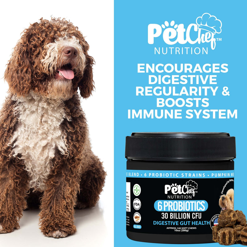Natural Organic Prebiotic Probiotic Soft Treats for Dogs | Digestive Gut Health, Gas & Bloating, Constipation, Diarrhea & Upset Stomach | Premium Chewable Treats for Dog - All Ages & Sizes - 140 Ct Peanut Butter - BeesActive Australia