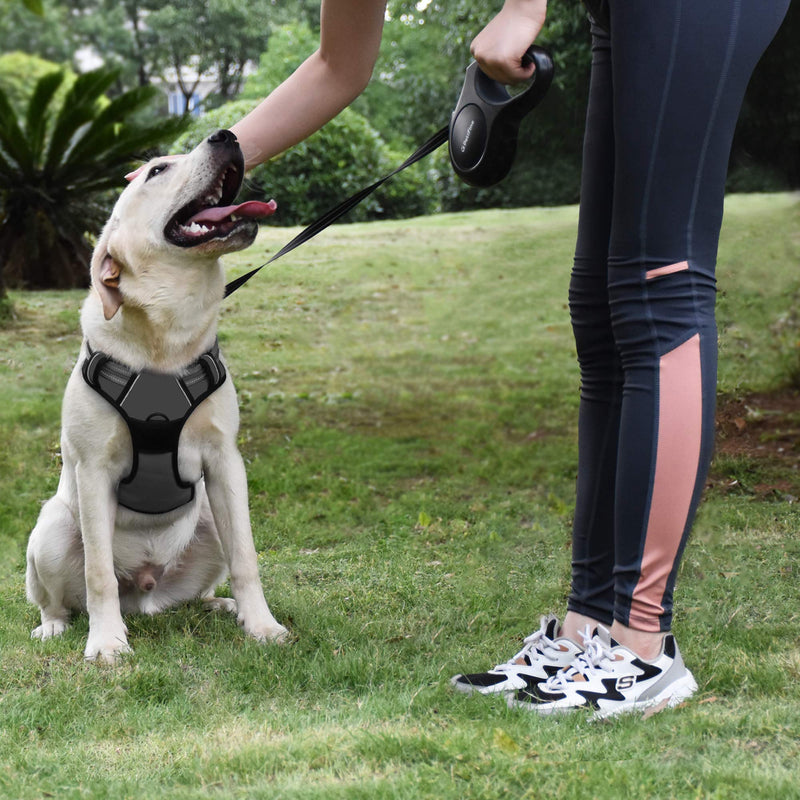 PetiFine Retractable Dog Leash with Dispenser and Poop Bags, 10FT/16FT Heavy Duty Reflective Walking Pet Leash for X-Small/Small/Medium/Large Breed Dogs or Cats up to 110 lbs, Tangle-Free Small-16ft- 20 bags Black - BeesActive Australia