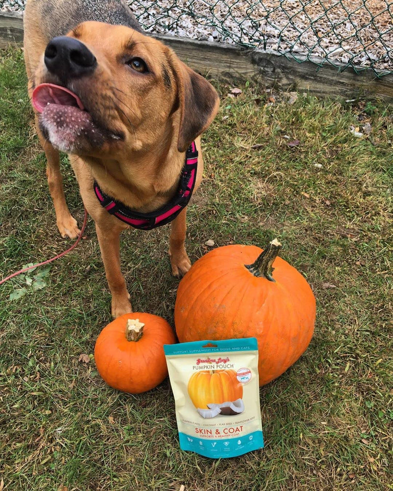 Grandma Lucy's Pumpkin Pouch Skin and Coat 6oz - BeesActive Australia