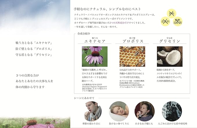 Hmm ekinasea & puroporisusupure- - BeesActive Australia