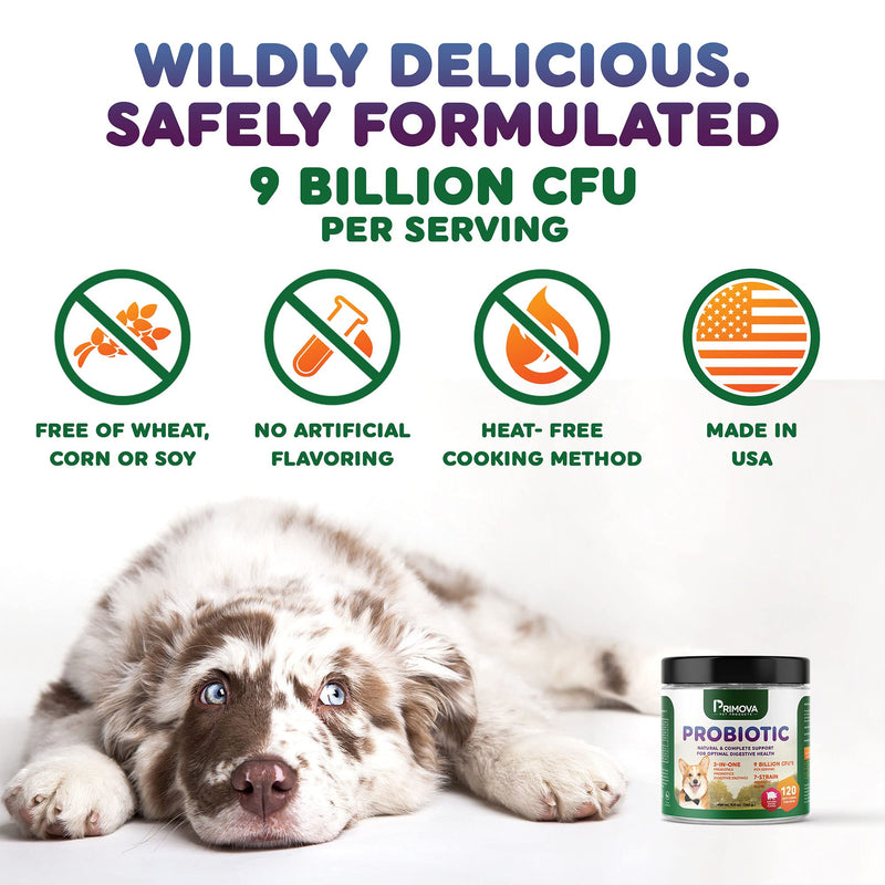 Primova Pet Products - Probiotic Dog Chews for Dog Digestive Enzymes - Dog Diarrhea & Natural Allergy Relief - Puppy Probiotic Chews - Dog Allergy Chews - Pack of 120 Chews - BeesActive Australia