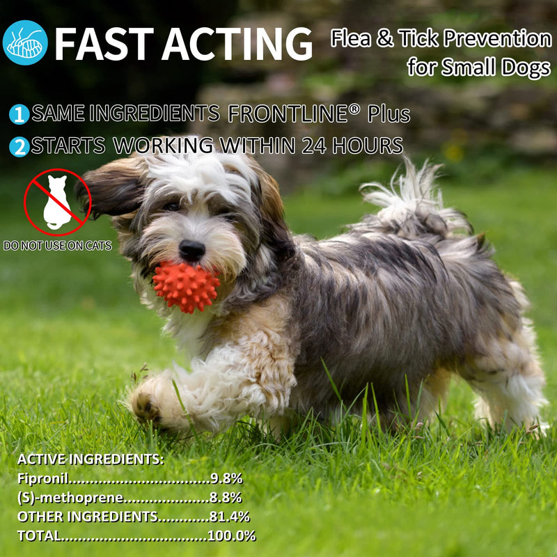 Flea and Tick Prevention for Dogs, Dog Flea & Tick Control with Fipronil, Long-Lasting and Fast-Acting Topical Flea & Tick Treatment Drops for Dogs, 3 Doses 5-22lbs Dogs - BeesActive Australia