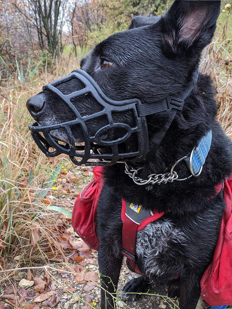Dog Muzzle, Breathable Basket Muzzles for Small, Medium, Large and X-Large Dogs, Stop Biting, Barking and Chewing XL - Labrador Black - BeesActive Australia