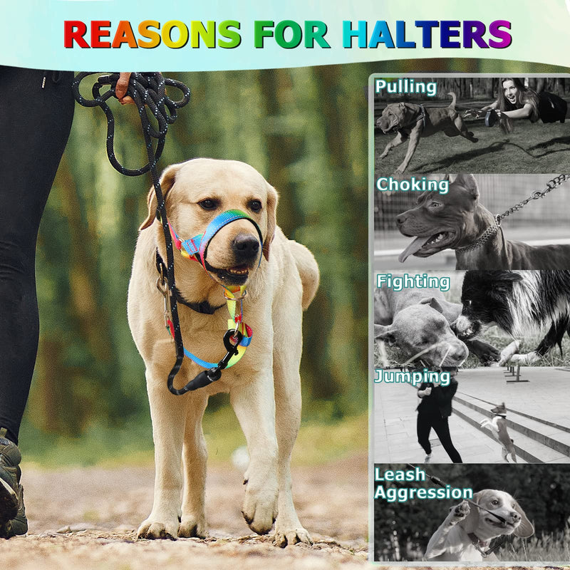 Dog Head Collar, No Pull Rainbow Head Halter for Heavy Pullers, Effective Padded Head Harness Stops Pulling on Leash for Walking Small Medium Large Dogs L Fantasy Rainbow - BeesActive Australia