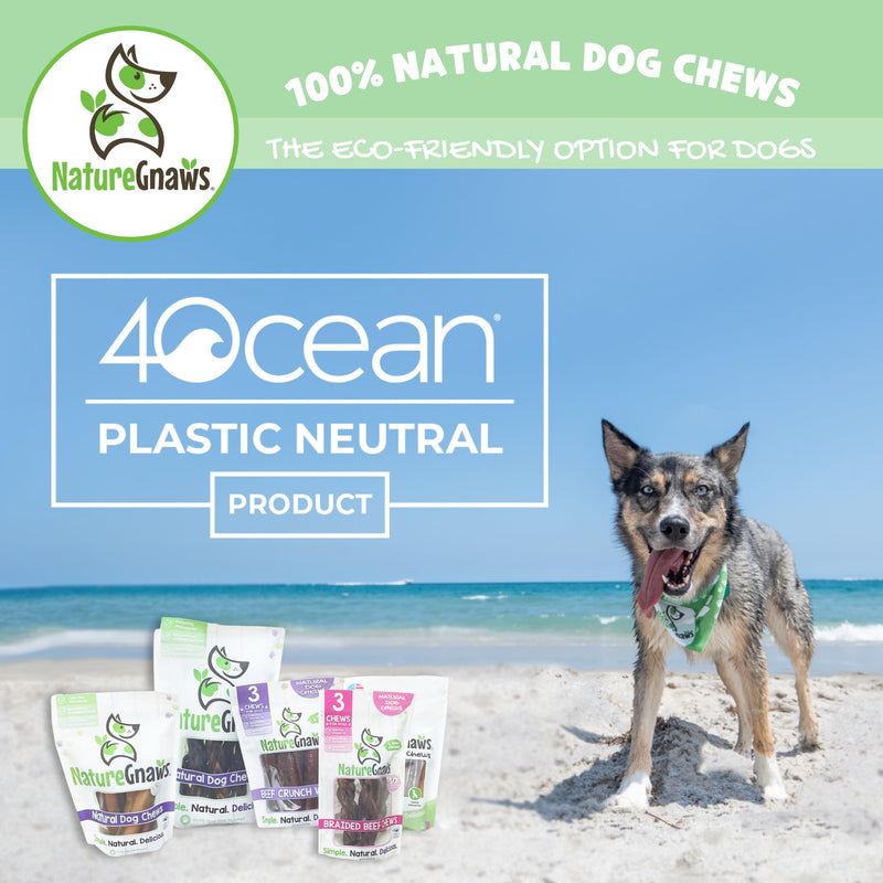 Nature Gnaws Sweet Potato Chips for Dogs - Single Ingredient Natural Dog Chew Treats - 12 oz - BeesActive Australia