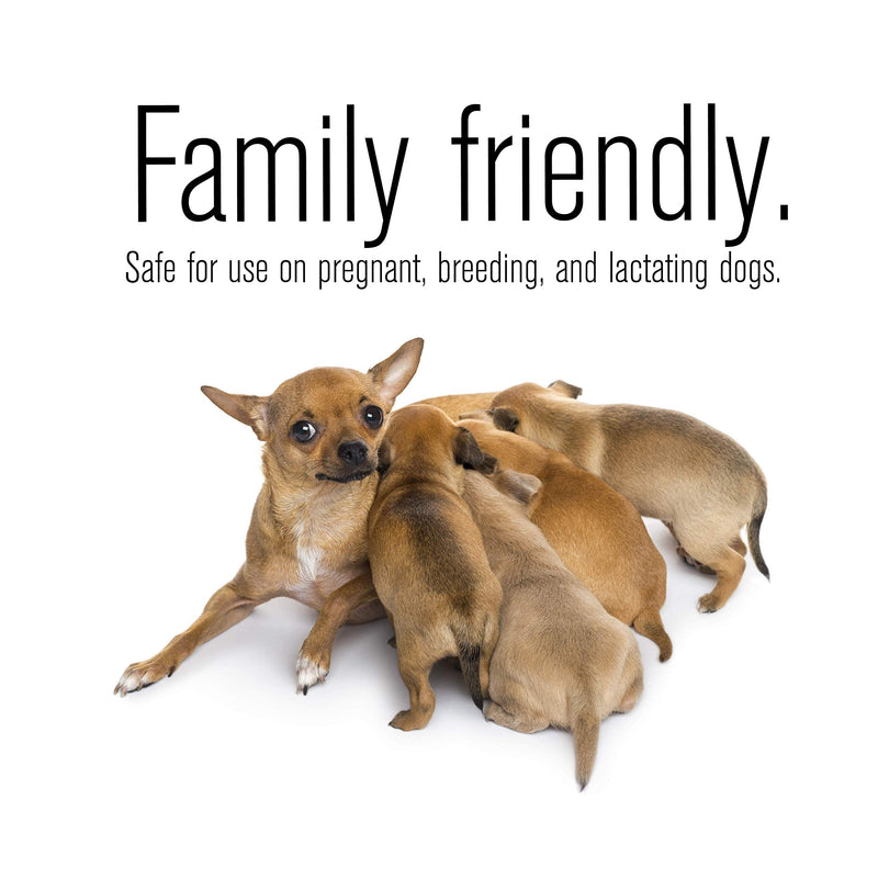 ZoGuard Plus Flea and Tick Prevention for Dogs, Medium 23-44 lbs, 3 Months, 3 Doses - BeesActive Australia