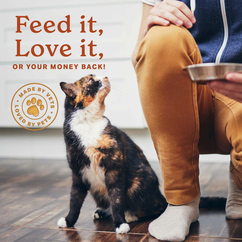 The Missing Link Digestion Supplement Powder for Dogs & Cats - Fiber, 7-Probiotic Blend + Chicory Root Prebiotic, Ginger, Chamomile - Supports Daily Digestive & Bowel Health - 1lb - BeesActive Australia