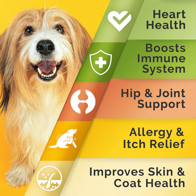 PAWFECTCHEW Fish Oil Omega 3 for Dogs - Allergy Relief - Joint Health - Itch Relief, Shedding - Skin and Coat Supplement - Alaskan Salmon Oil Chews - Omega 3 6 9 - EPA & DHA Fatty Acids - BeesActive Australia