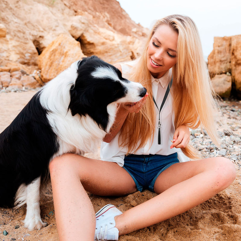 TDL Dog Whistle with Lanyard - Used for Recall & Dog Training - Long Distance - Good Frequency for Most Breeds - Loud Pitch - Consistent - Food Grade Plastic - BeesActive Australia