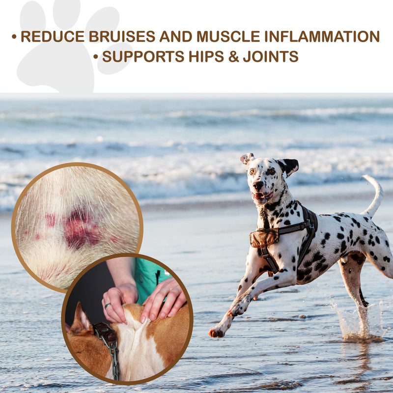 Kelebs Natural Dog Massage Oil Skin Soother Relief, With Arnica & Peppermint Oil, Hips & Joints Muscle Soother Pain Relief, Itchy Skin Soother Relief, Dog Massage Oil Dry Skin Soother, For Body & Paws - BeesActive Australia