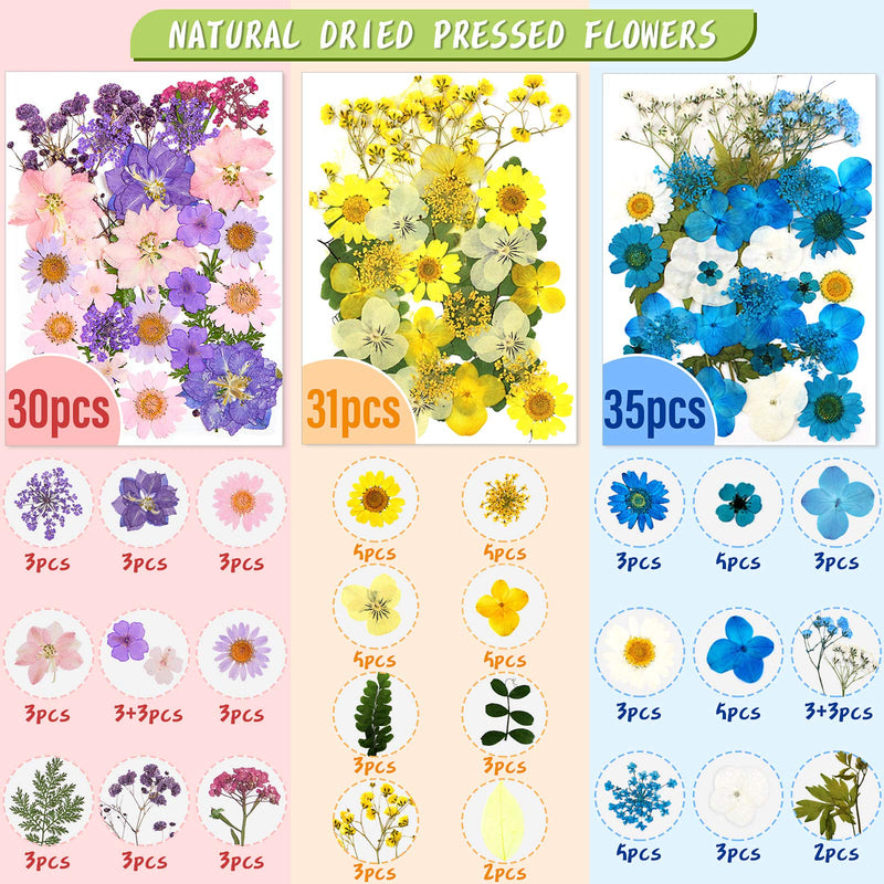 257 Pieces Resin Real Dried Pressed Flowers Leaves and Butterfly Stickers Set Multiple Natural Dry Flowers Daisies Butterfly Adhesive Decals for DIY Resin Jewelry Nail Pendant Art Floral Decors - BeesActive Australia