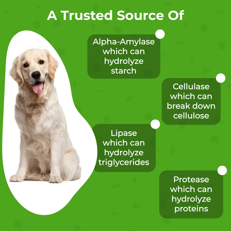 PawMedica Dog Probiotics and Digestive Enzymes, Probiotics for Dogs Made in USA, Pet Probiotic Chews for Dogs, Prebiotics & Probiotic Dog Digestive Support, Probiotic Treats 60 Dog Probiotic Chews - BeesActive Australia