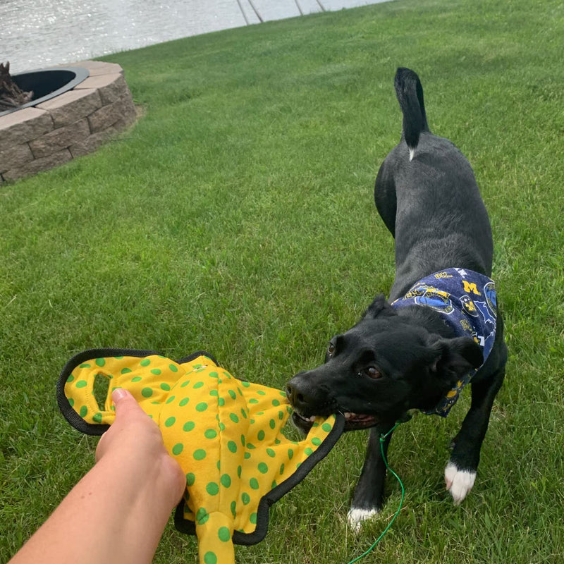Snuggle Puppy Tender-Tuffs - Yellow Stingray Tug of War Plush Dog Toy - Great for Play and Interaction with Puncture Resistant Squeaker - BeesActive Australia