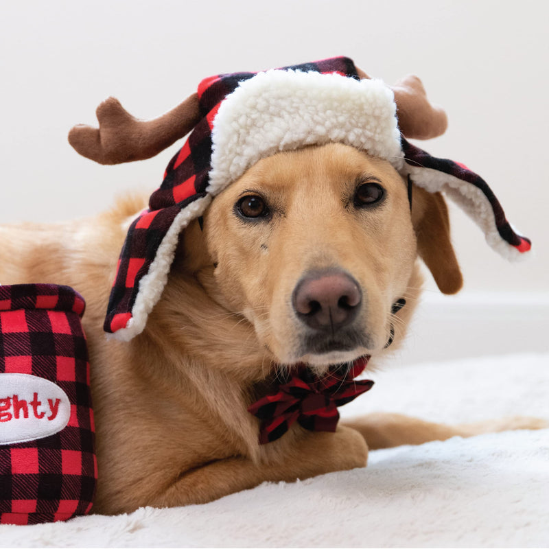 Huxley & Kent Hat | Fun Christmas Holiday Hat for Dogs/Cats | Cute, Comfortable and Fun | SnugFit Strings for Best Fit Antler Buffalo Check Large - BeesActive Australia