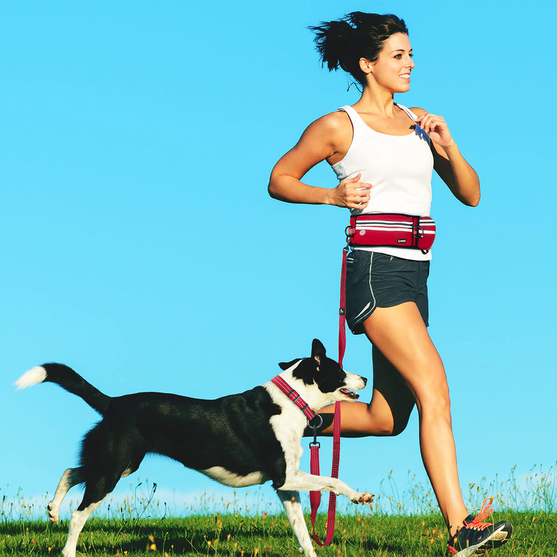 Kruz Jogging Belt & Hands Free Dog Leash - KZJBELT - Retractable Shock Absorbing Bungee Leash with Waist Belt - Running, Walking, Training, Hiking - Comfortable, Adjustable and Durable Turquoise - BeesActive Australia