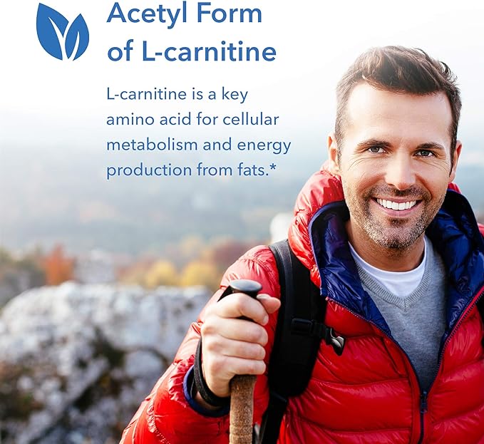 Acetyl L-Carnitine 500mg 100 Vegetarian Capsules - BeesActive Australia
