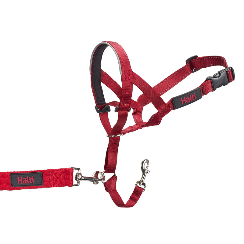 The Company of Animals Halti Head Colla Red 4 - BeesActive Australia