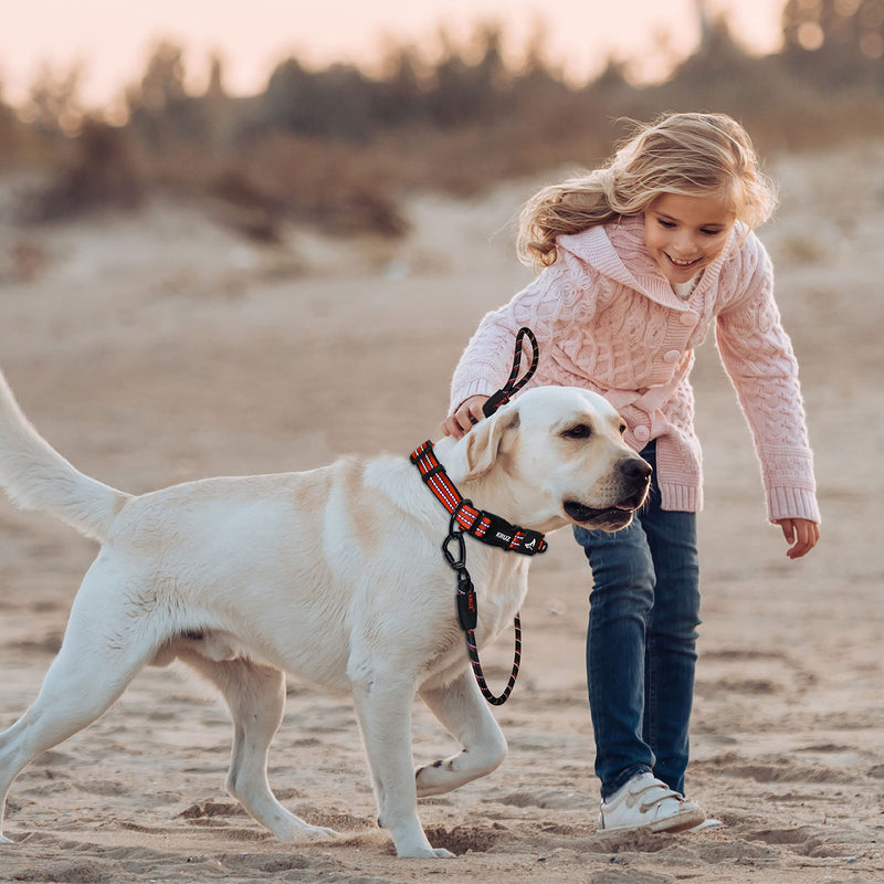 Kruz Reflective Dog Leash -KZROPE5048/5060 - Soft Silicone Grip with Click & Lock Snap - Walking, Running and Pet Training - Heavy-Duty, Durable Rope - Security, Safety, Control, and Comfort 1/2" x 5 FT Black - BeesActive Australia