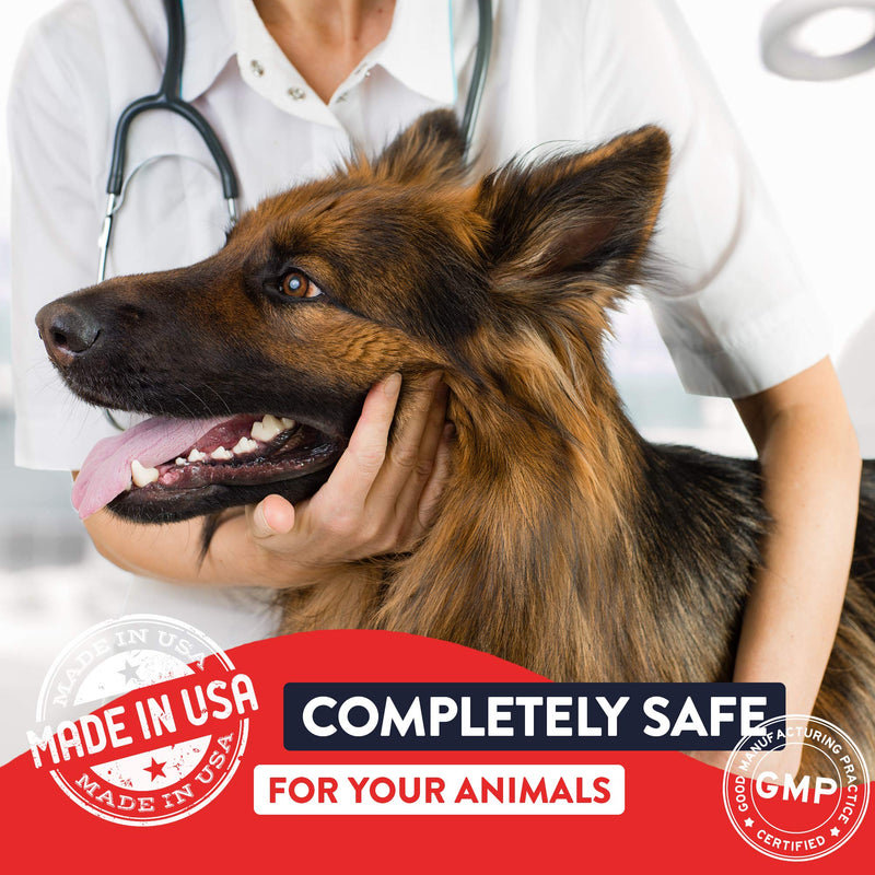 Geneflora Digestive Enzymes and Probiotics for Dogs, Cats, Rabbits and More to Boost Immunity, Relieve Allergies, Reduce Doggy Breath, Reduce Diarrhea and Gas, and Promote Regular Bowel Movements - BeesActive Australia