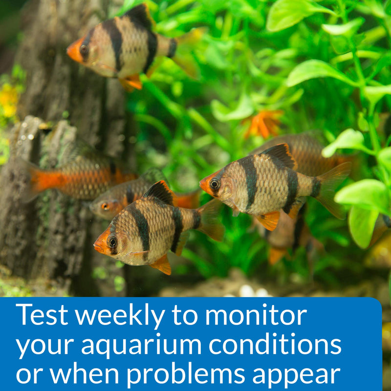 API Phosphate Test Kit For Freshwater And Saltwater - BeesActive Australia