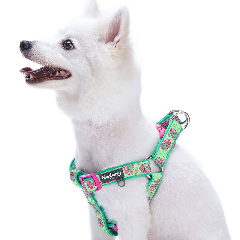 Blueberry Pet 7 Patterns Soft & Comfy Flower Print Neoprene Padded Dog Harnesses (16.5" - 21.5") Chest Girth (Pack of 1) Emerald Green - BeesActive Australia