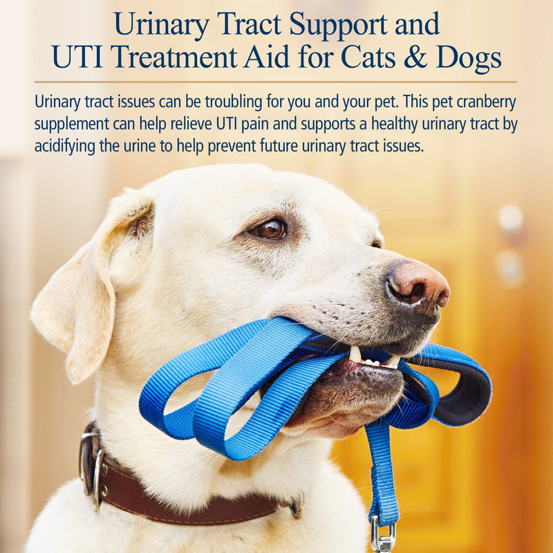 Rx Vitamins Cranberry Pills for Dogs - Cat Urinary Tract Medicine Support - UTI Treatment for Pets - Dog & Cat Urinary Relief Aid - 90 Cap. - BeesActive Australia
