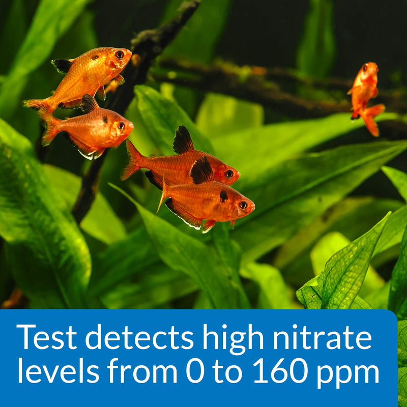 API NITRATE 90-Test Freshwater and Saltwater Aquarium Water Test Kit - BeesActive Australia