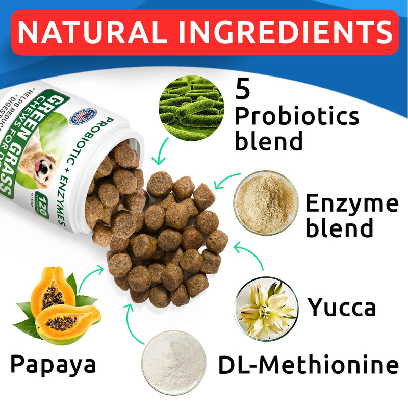 All-Natural Grass Treatment for Dog Urine - Grass Restore Treats for Dogs - Pee Lawn Repair Chews w Probiotics - Dog Urine Neutralizer Solution for Grass Burn Spots - Made in USA - 120 Chews - BeesActive Australia