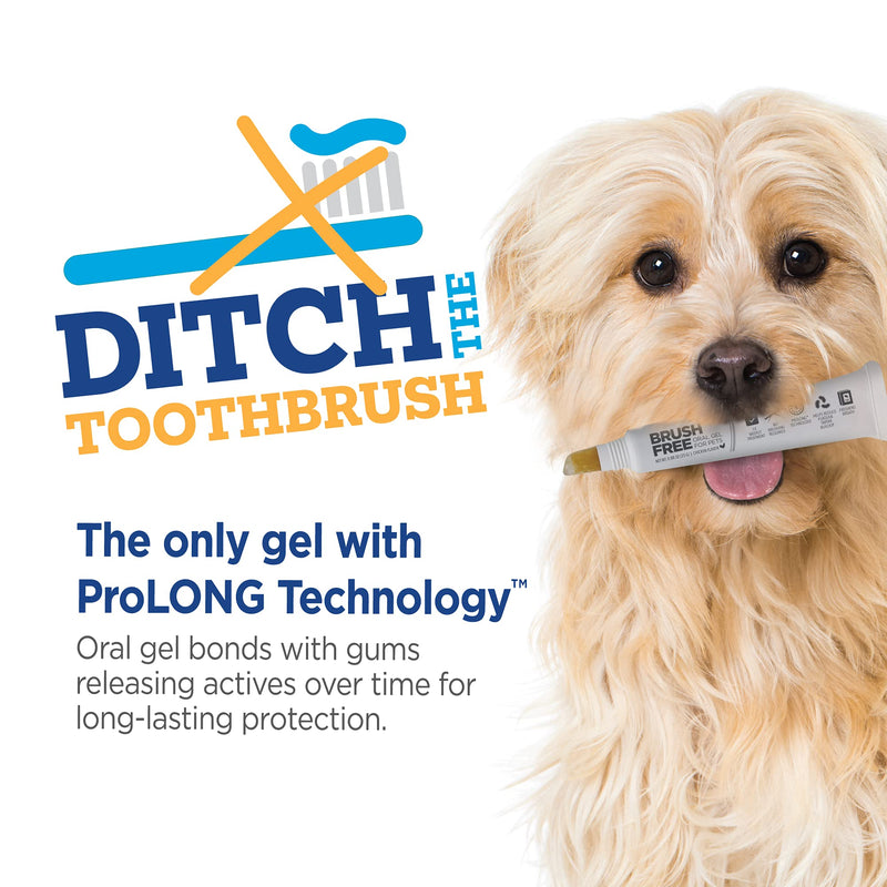 Vetality Brush Free Oral Gel for Dogs | Vet Formulated Dental Care with ProLong Technology | Cleans Teeth and Gums - BeesActive Australia
