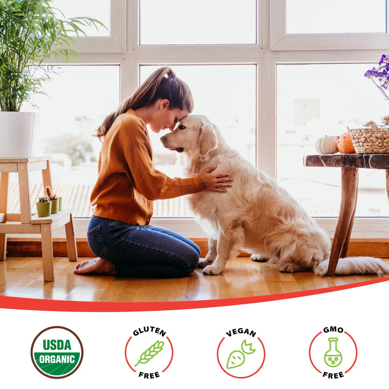 LiviaOne BioLifePet Liquid Probiotics for Dogs, Organic Dog Probiotic Supplements, Puppy and Dog Pet Probiotics, 4 Fl Oz (Pack of 1) - BeesActive Australia